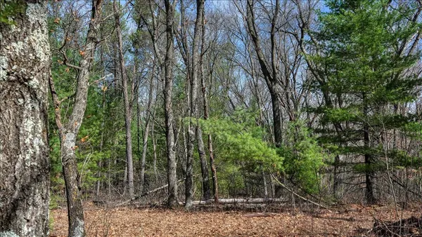 $133,900 | 12.96-acres County Road A, Grand Marsh, WI 53936