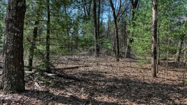 $133,900 | 12.96-acres County Road A, Grand Marsh, WI 53936