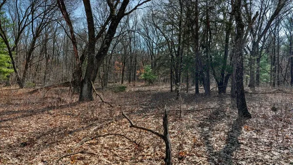 $133,900 | 12.96-acres County Road A, Grand Marsh, WI 53936