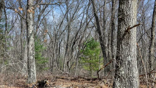 $133,900 | 12.96-acres County Road A, Grand Marsh, WI 53936