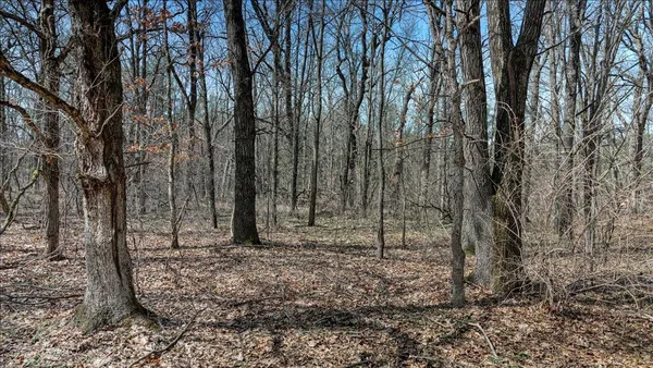 $133,900 | 12.96-acres County Road A, Grand Marsh, WI 53936