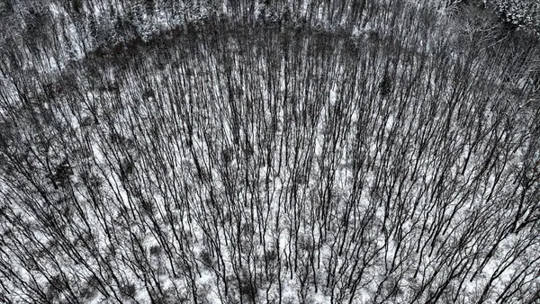 $133,900 | 12.96-acres County Road A, Grand Marsh, WI 53936