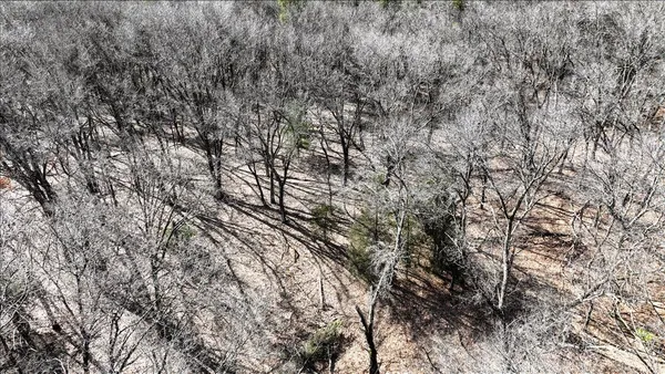 $133,900 | 12.96-acres County Road A, Grand Marsh, WI 53936