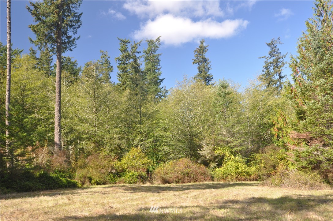 0 Finisterre Road Lopez Island, WA 98261 - Photo 8 of 10