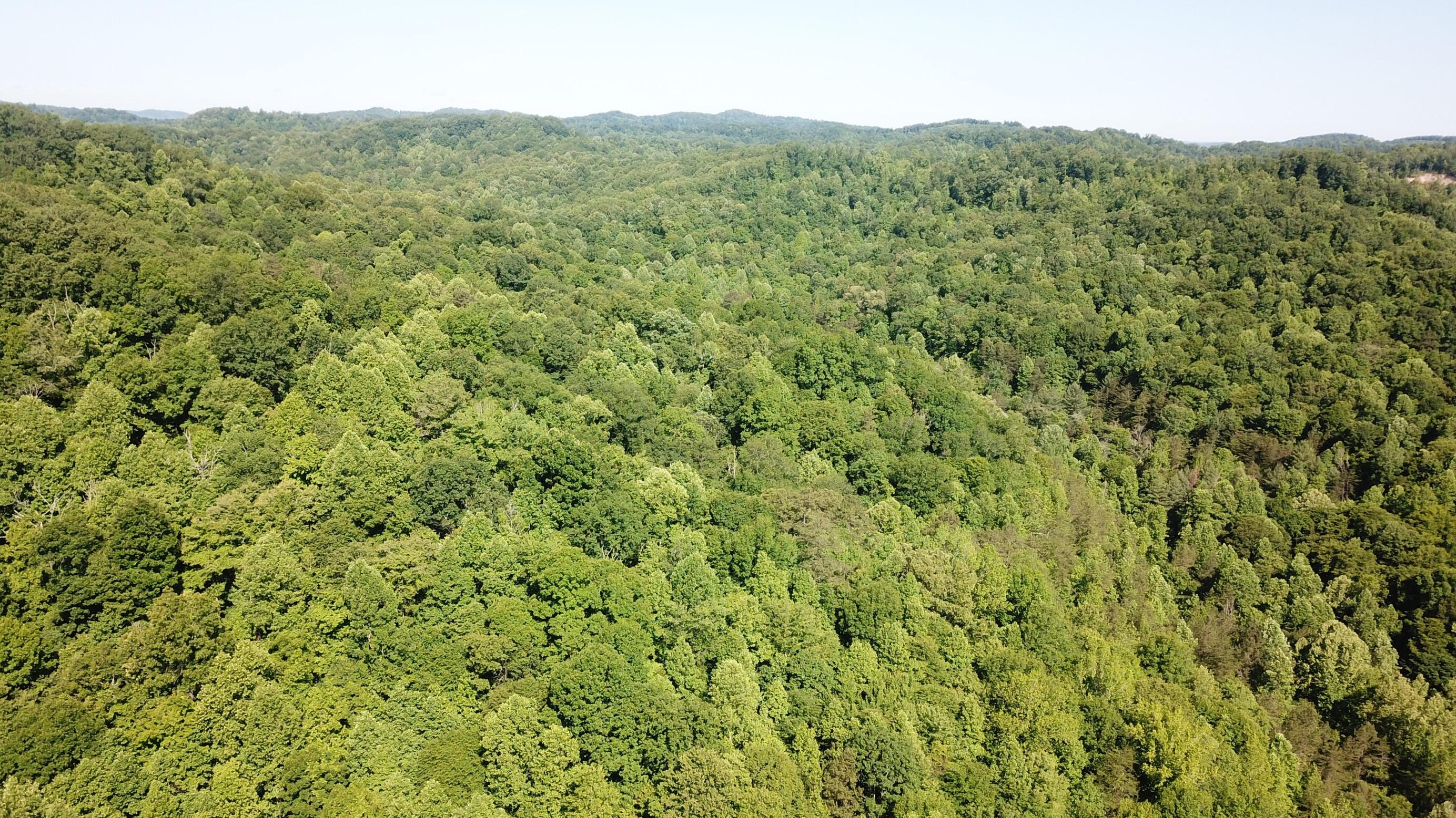 0 Emanuel Hollow Road Gray, KY 40734 - Photo 20 of 29 DJI_0010 (Custom)