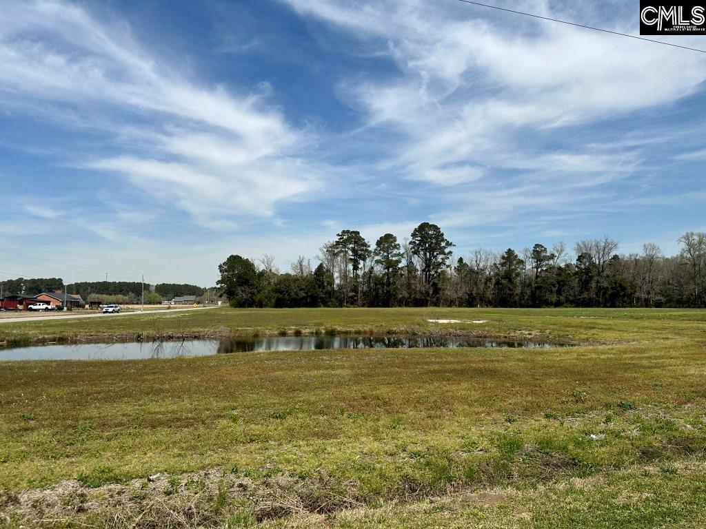 Pleasant Grove Road Loris, SC 29569 - Photo 10 of 13