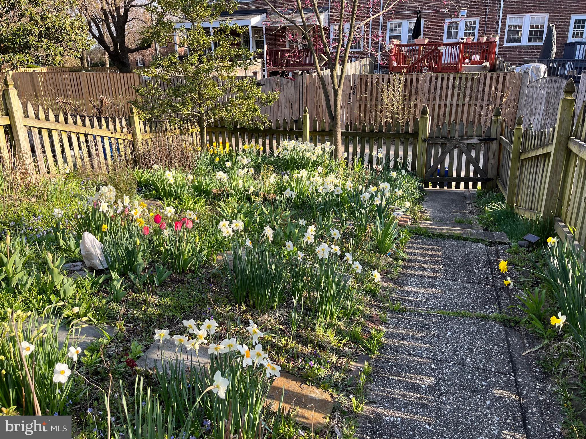 143 Hopkins Road Baltimore, MD 21212 - Photo 50 of 52 Spring backyard