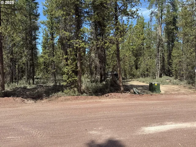 a bench is sitting in the middle of a yard