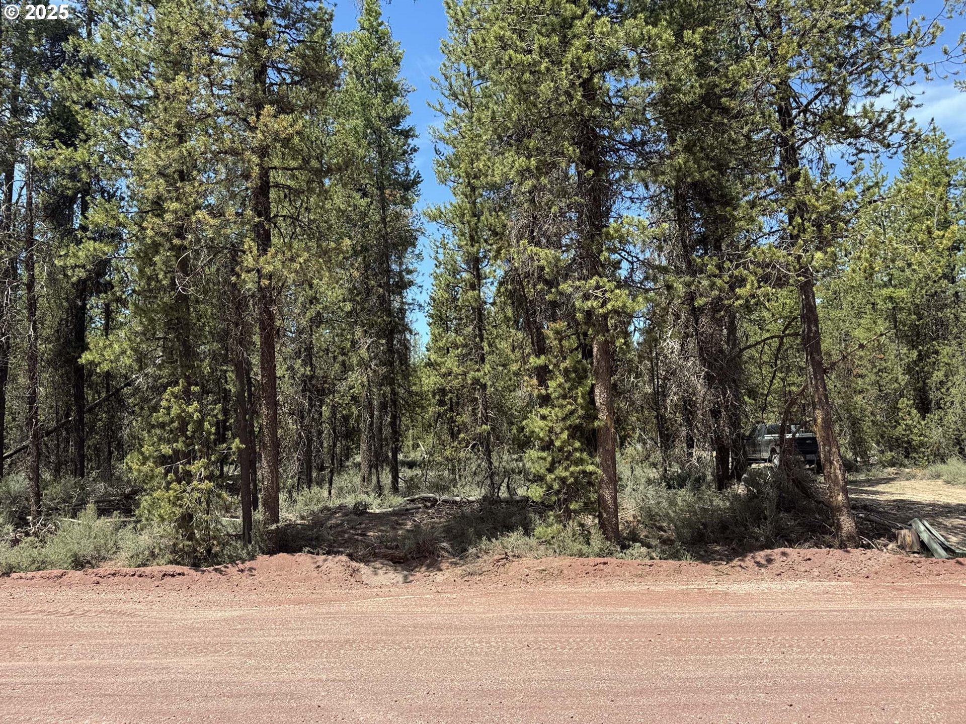 Bear Flat Road, Unit 3200 Chemult, OR 97731 - Photo 17 of 32 a view of road with trees