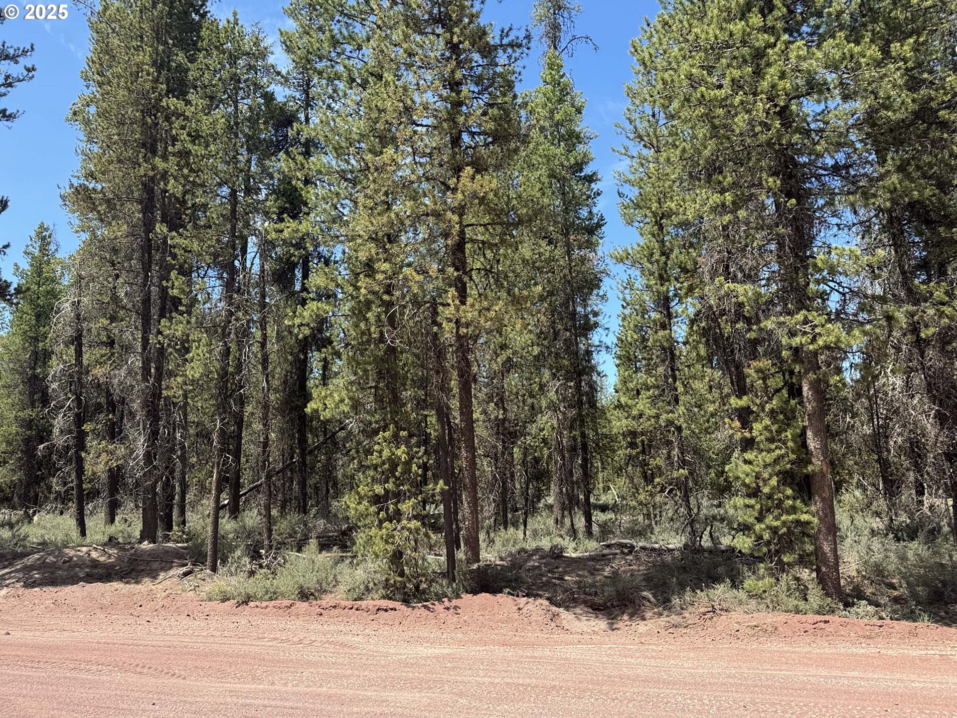 Bear Flat Road, Unit 3200 Chemult, OR 97731 - Photo 18 of 32 a view of a yard and basketball court