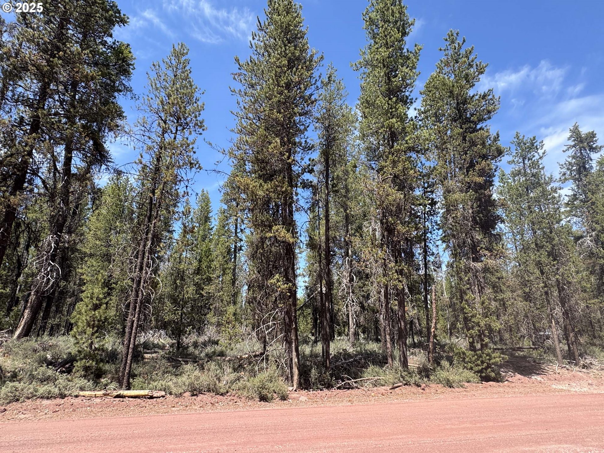 Bear Flat Road, Unit 3200 Chemult, OR 97731 - Photo 28 of 32 a view of a yard