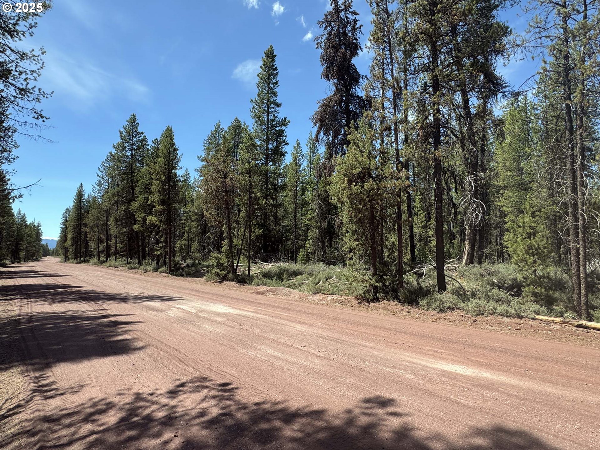 Bear Flat Road, Unit 3200 Chemult, OR 97731 - Photo 30 of 32 a street view of a yard
