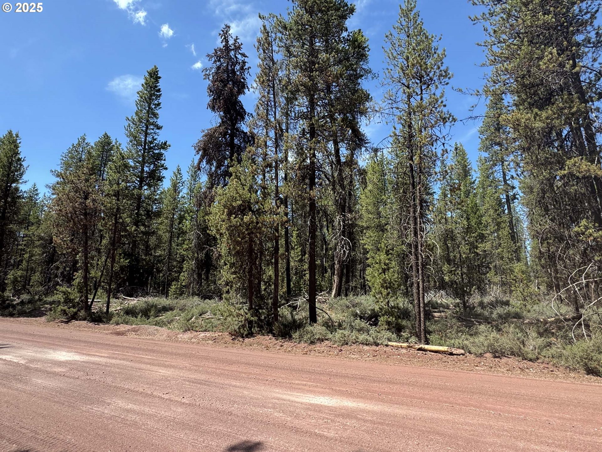 Bear Flat Road, Unit 3200 Chemult, OR 97731 - Photo 32 of 32 a view of a house with a trees