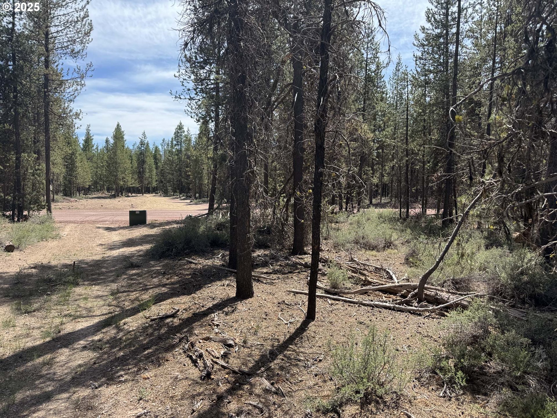 Bear Flat Road, Unit 3200 Chemult, OR 97731 - Photo 8 of 32 a view of a park with large trees