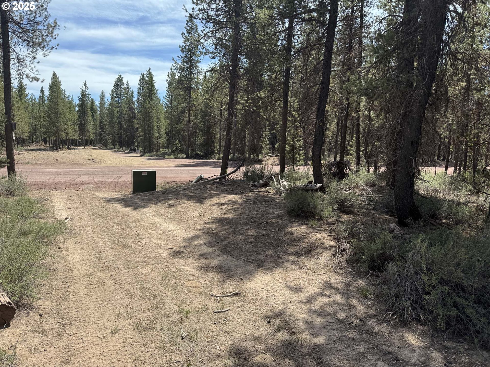 Bear Flat Road, Unit 3200 Chemult, OR 97731 - Photo 9 of 32 a view of a yard with a tree