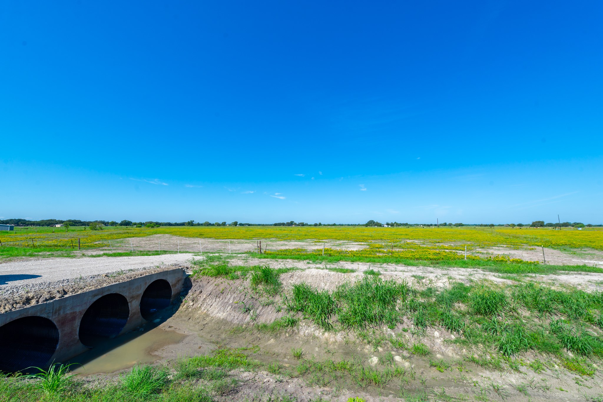0 Polak Road Wallis, TX 77485 - Photo 5 of 13