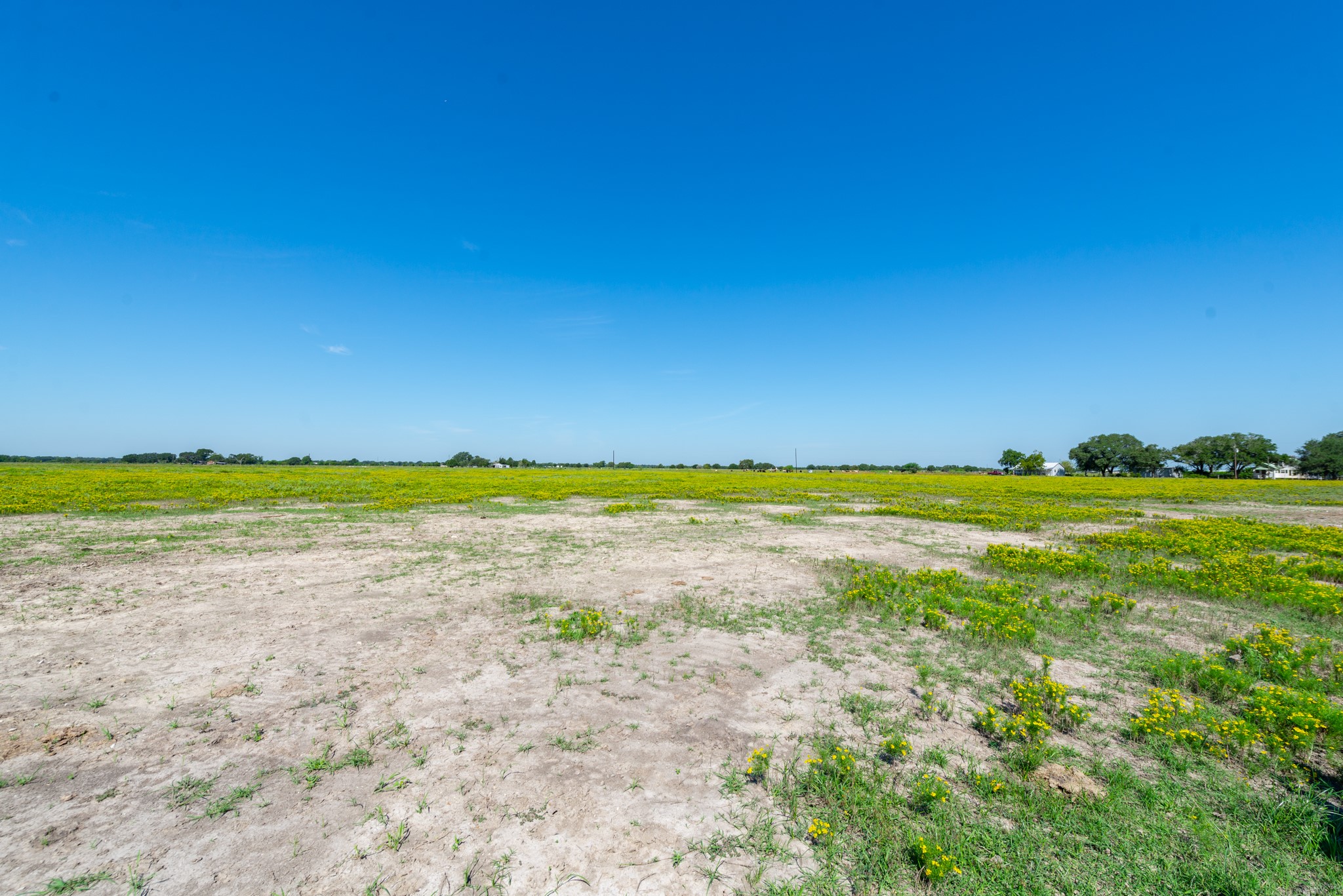 0 Polak Road Wallis, TX 77485 - Photo 7 of 13