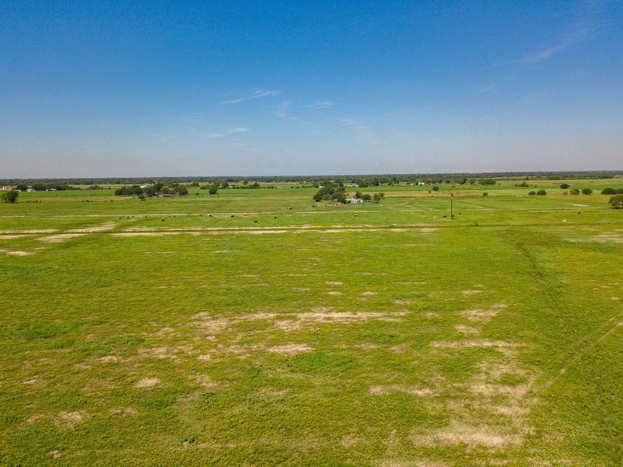 0 Polak Road Wallis, TX 77485 - Photo 8 of 13