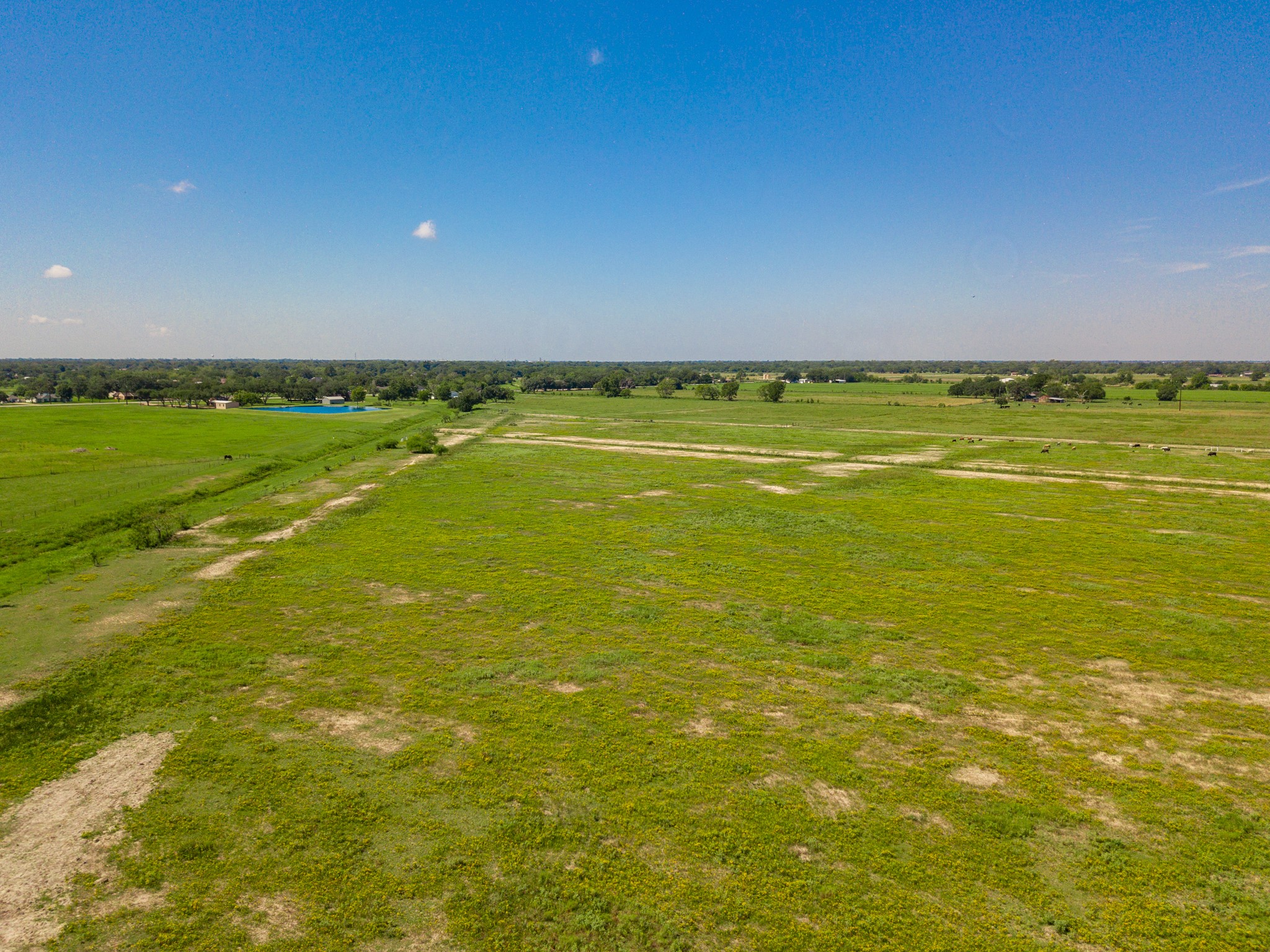 0 Polak Road Wallis, TX 77485 - Photo 9 of 13