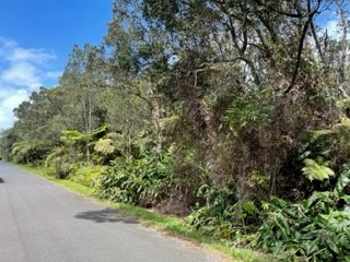182 2nd Street Volcano, HI 96785 - Photo 3 of 7 Gallery Image 3