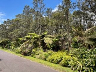 182 2nd Street Volcano, HI 96785 - Photo 4 of 7 Gallery Image 4