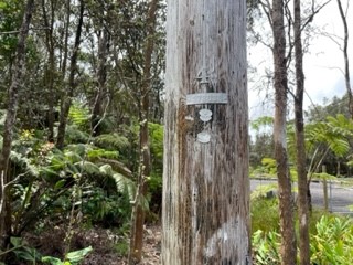 182 2nd Street Volcano, HI 96785 - Photo 6 of 7 Gallery Image 6