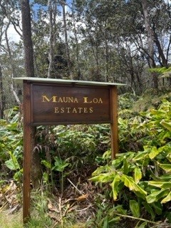 182 2nd Street Volcano, HI 96785 - Photo 7 of 7 Gallery Image 7