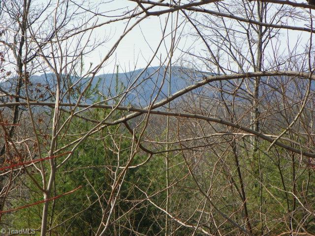 Additional View 2