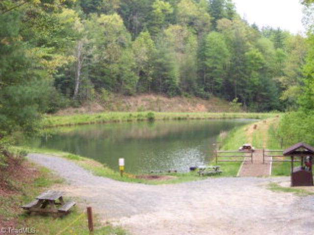 Lt181 Lt181 Casey Mountain Road Purlear, NC 28665 - Photo 8 of 12 Pond
