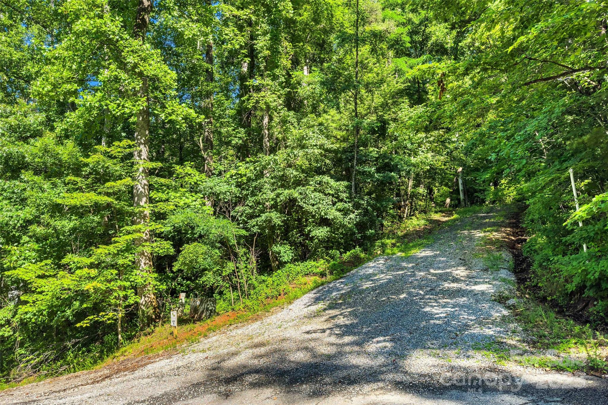 a view of a street with a tree