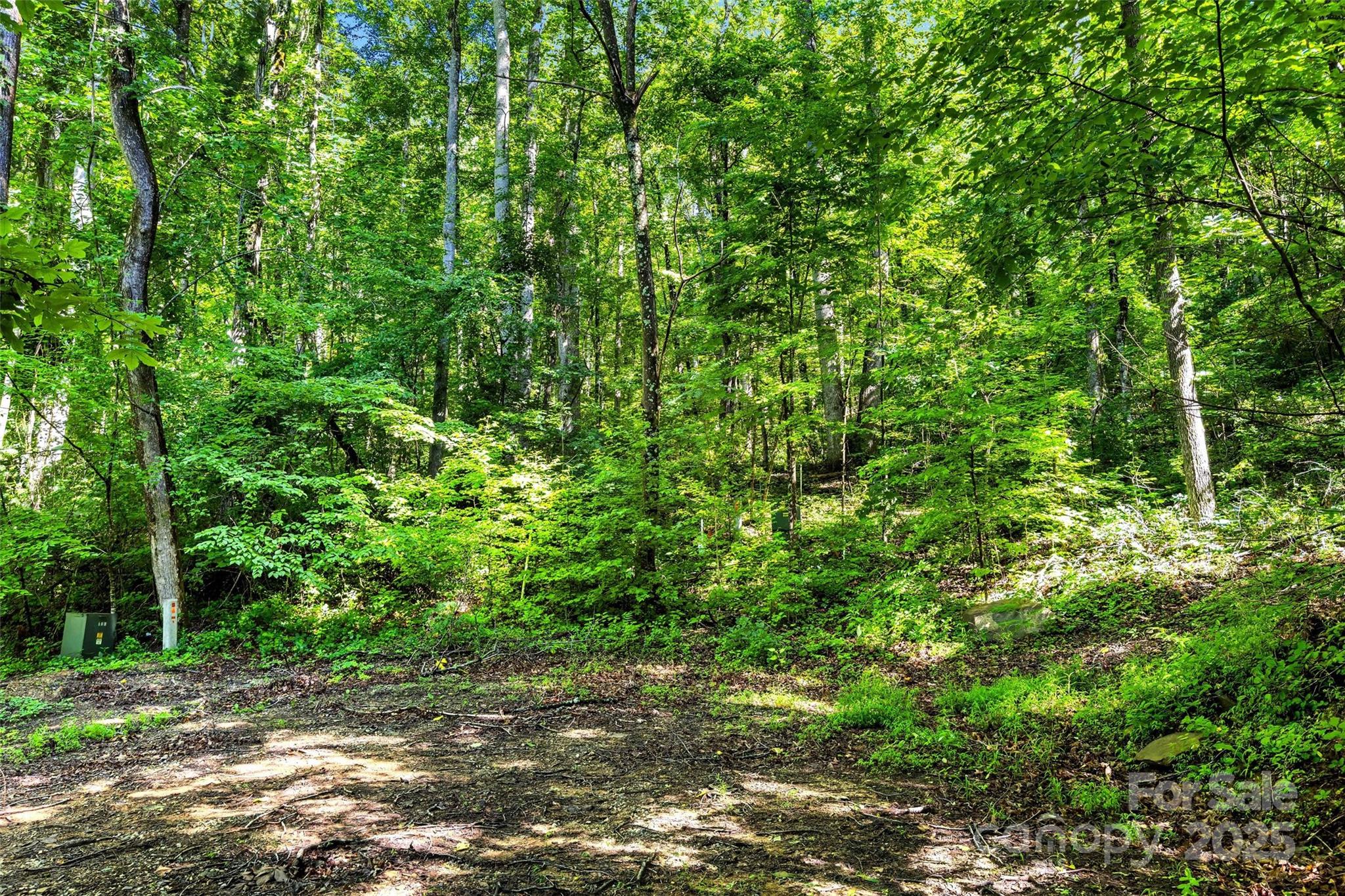Lot # Hunnicut Spur Road Marion, NC 28752 - Photo 12 of 28 a backyard of a house with lots of plants