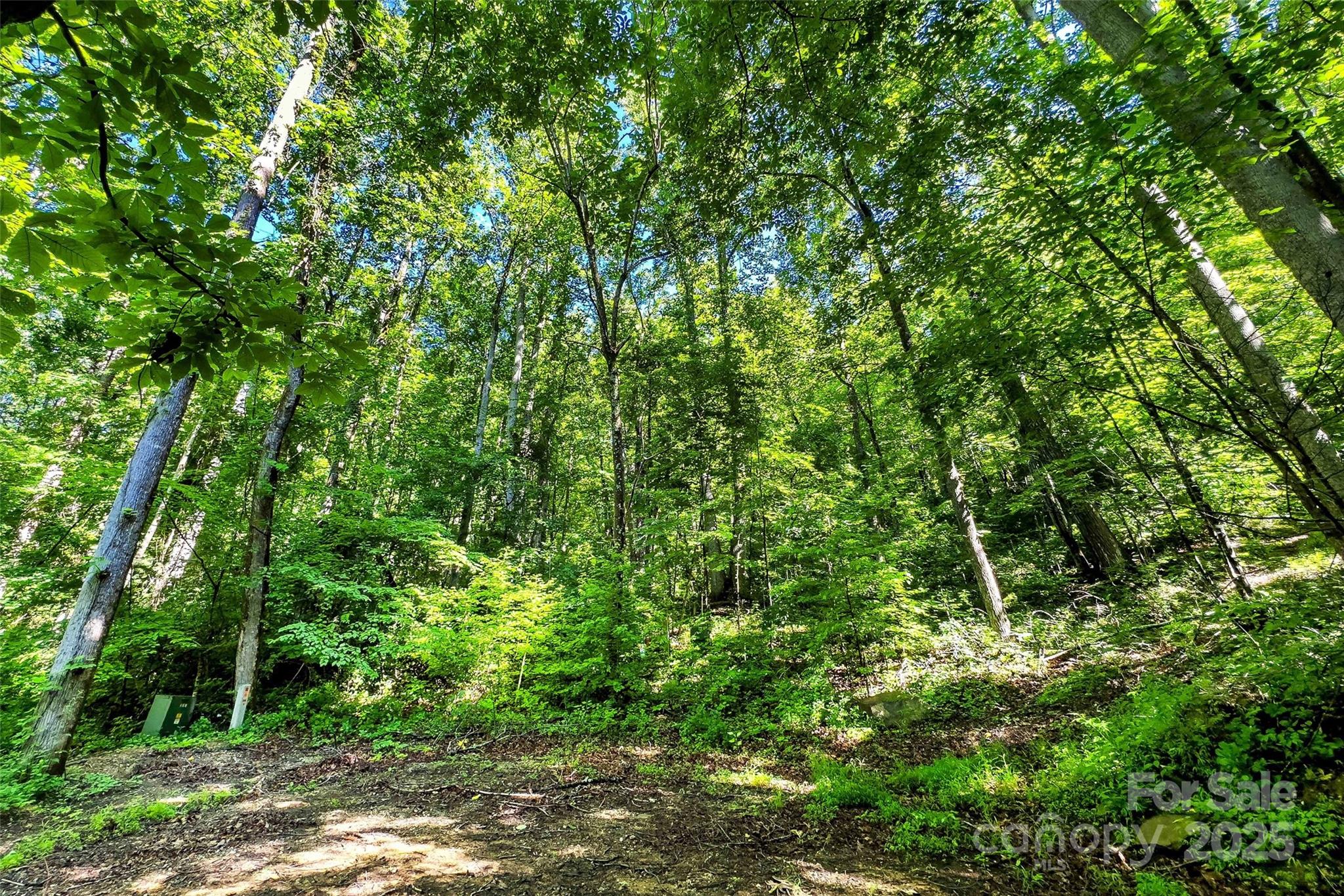 Lot # Hunnicut Spur Road Marion, NC 28752 - Photo 13 of 28 a backyard of a house with lots of plants