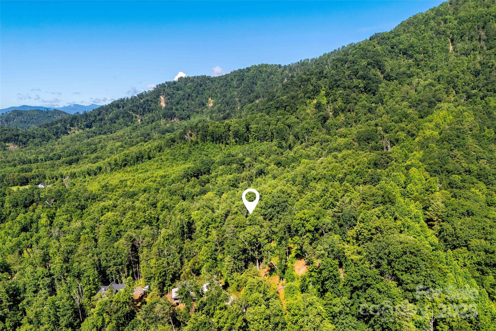 Lot # Hunnicut Spur Road Marion, NC 28752 - Photo 18 of 28 a view of a forest with a tree