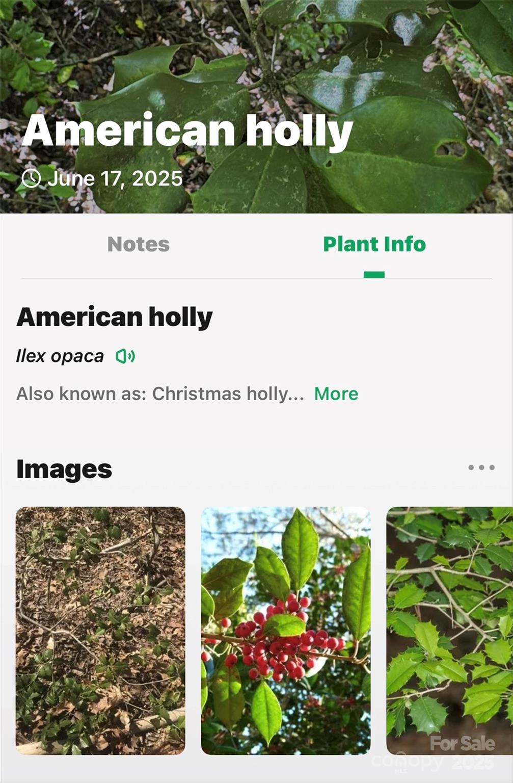 Lot # Hunnicut Spur Road Marion, NC 28752 - Photo 22 of 28 a picture of a book and a lots of plants