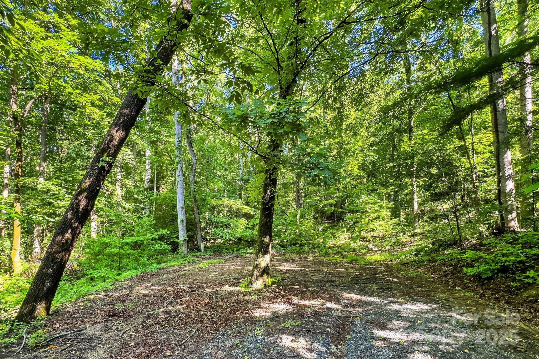 Lot # Hunnicut Spur Road Marion, NC 28752 - Photo 4 of 28 a backyard of a house with trees