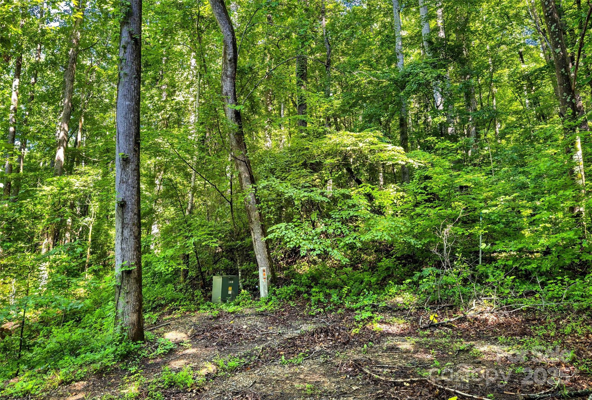 Lot # Hunnicut Spur Road Marion, NC 28752 - Photo 5 of 28 a view of a lush green forest