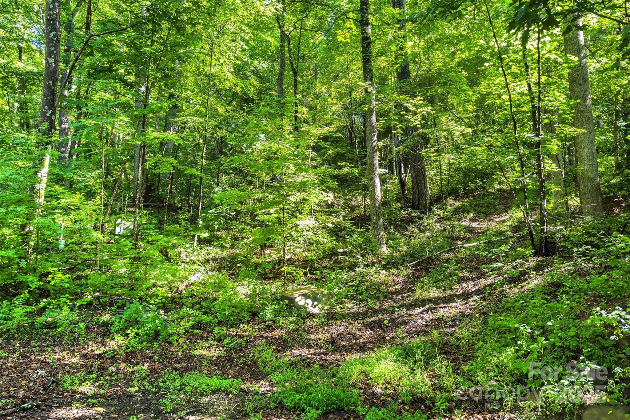 Lot # Hunnicut Spur Road Marion, NC 28752 - Photo 6 of 28 a view of a lush green forest