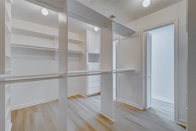 a bathroom with a sink a mirror and a potted plant