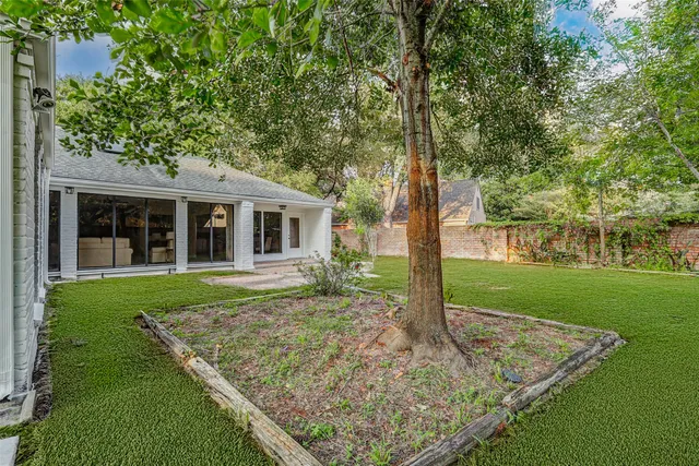 a view of a backyard with plants and large trees