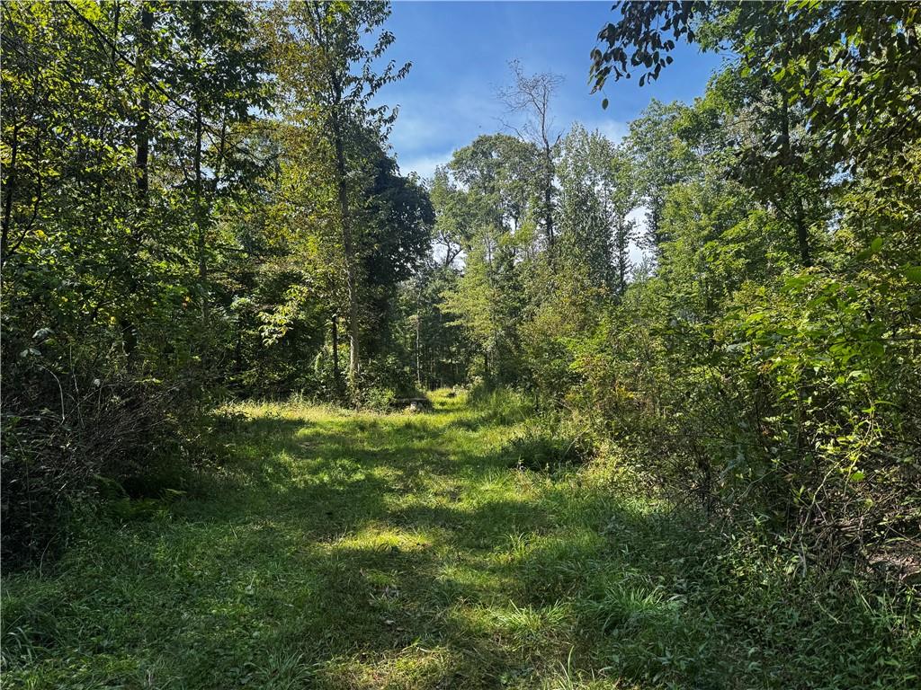 0 Slatertown Road Polk, PA 16342 - Photo 18 of 20 Gallery Image 18