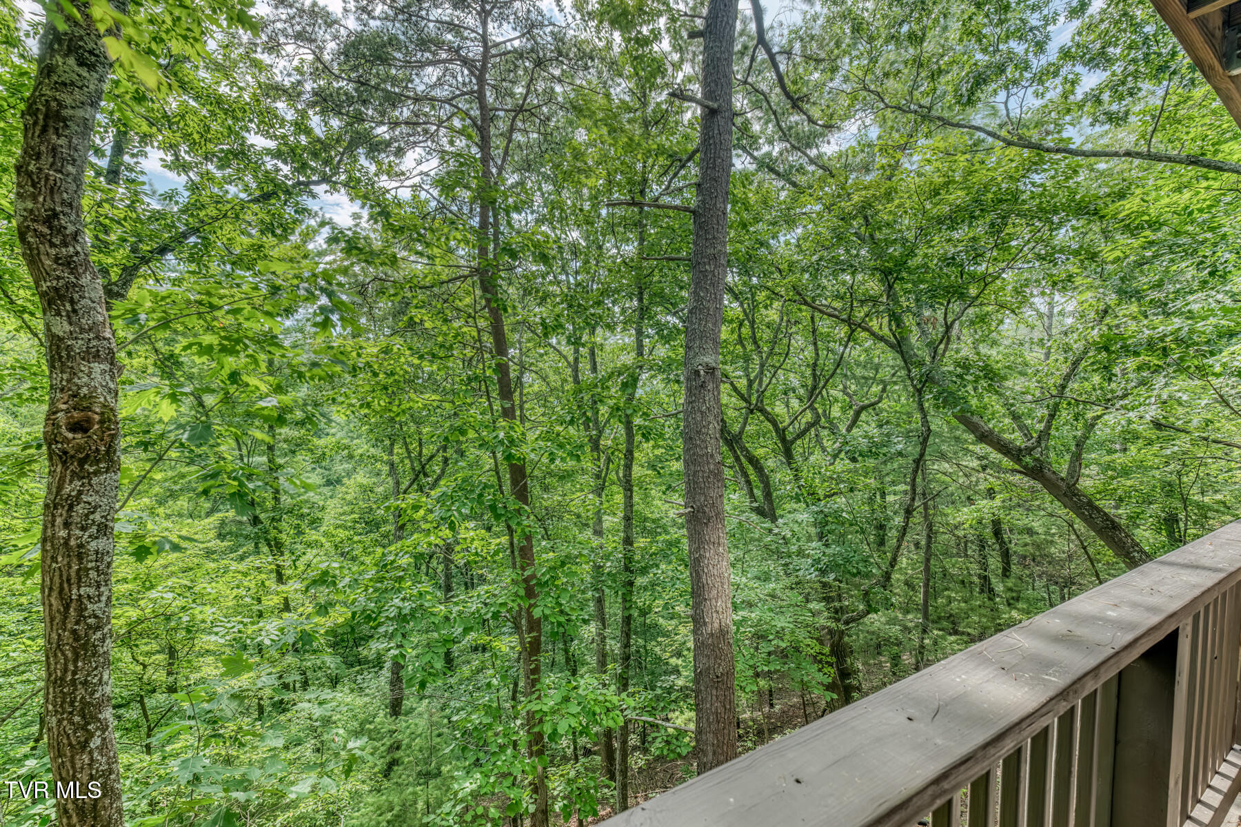331 Hickory Bluff, Unit 331 Johnson City, TN 37601 - Photo 41 of 49 331 Hickory Bluff-41
