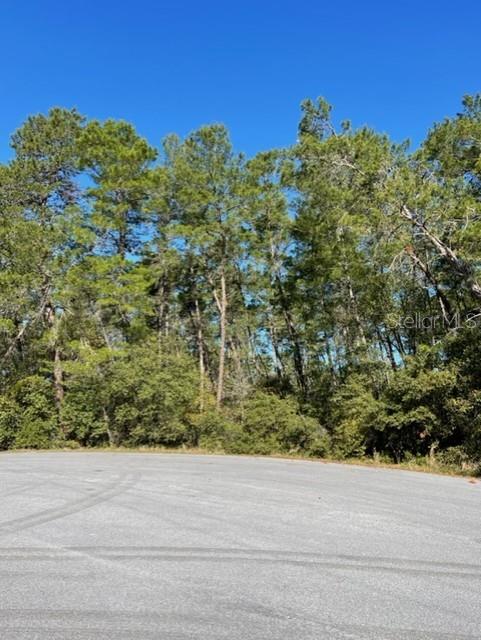 0 Southwest 106th Place Ocala, FL 34476 - Photo 1 of 1