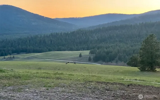 $3,335,000 | 54 Hardrock Road, Republic, WA 99166