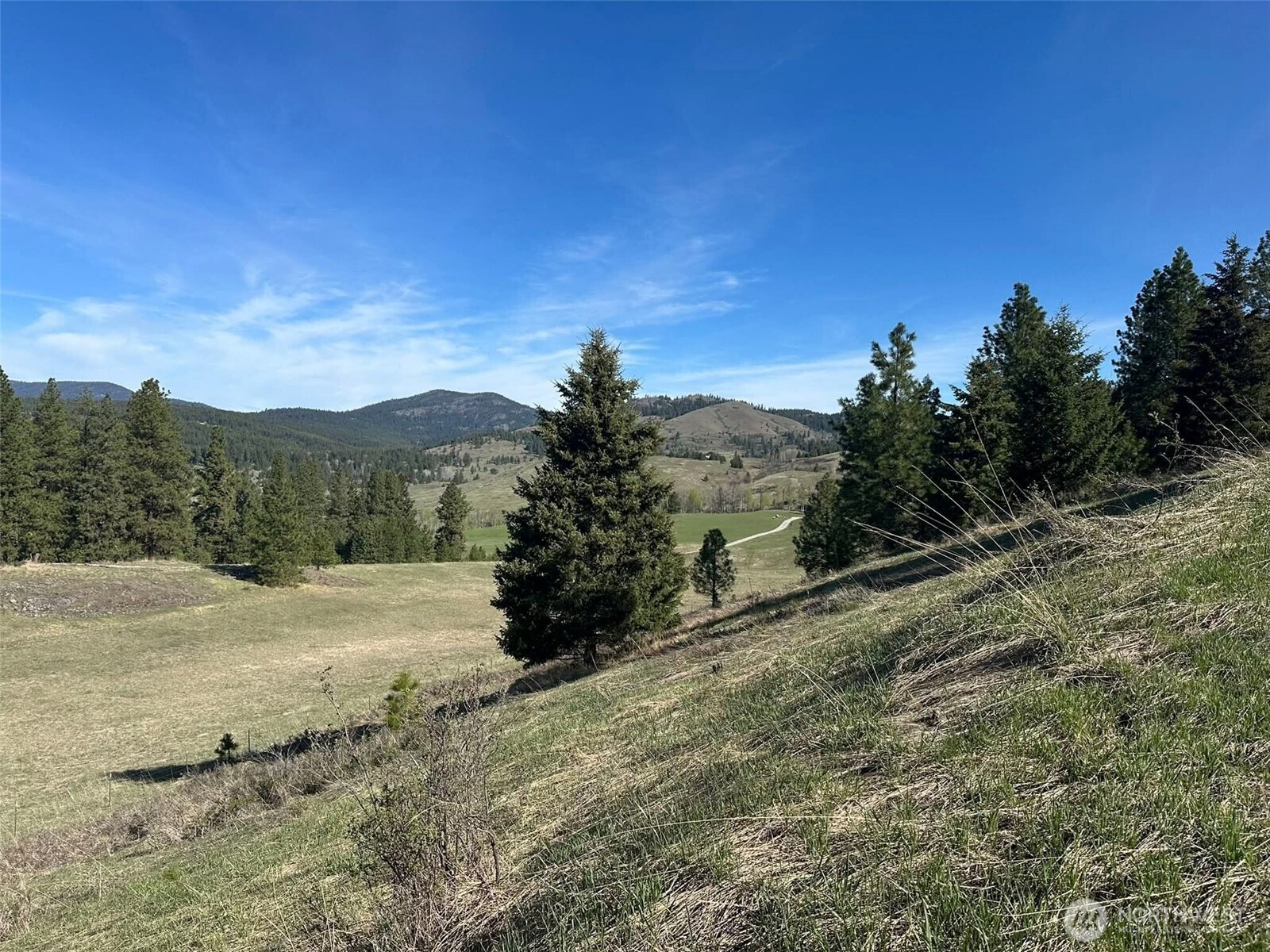 54 Hardrock Road Republic, WA 99166 - Photo 13 of 40