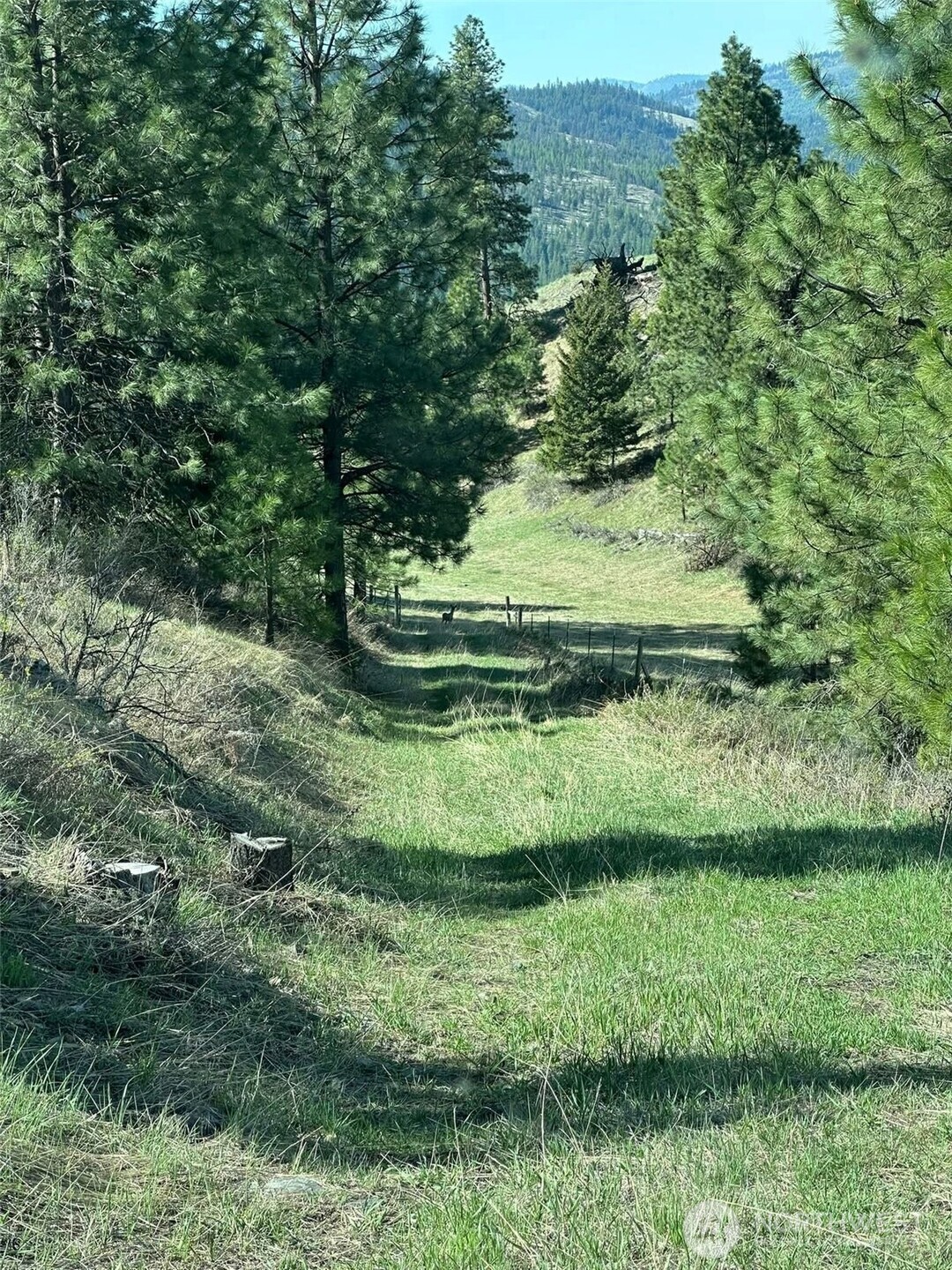 54 Hardrock Road Republic, WA 99166 - Photo 15 of 40