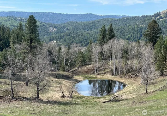 $3,335,000 | 54 Hardrock Road, Republic, WA 99166