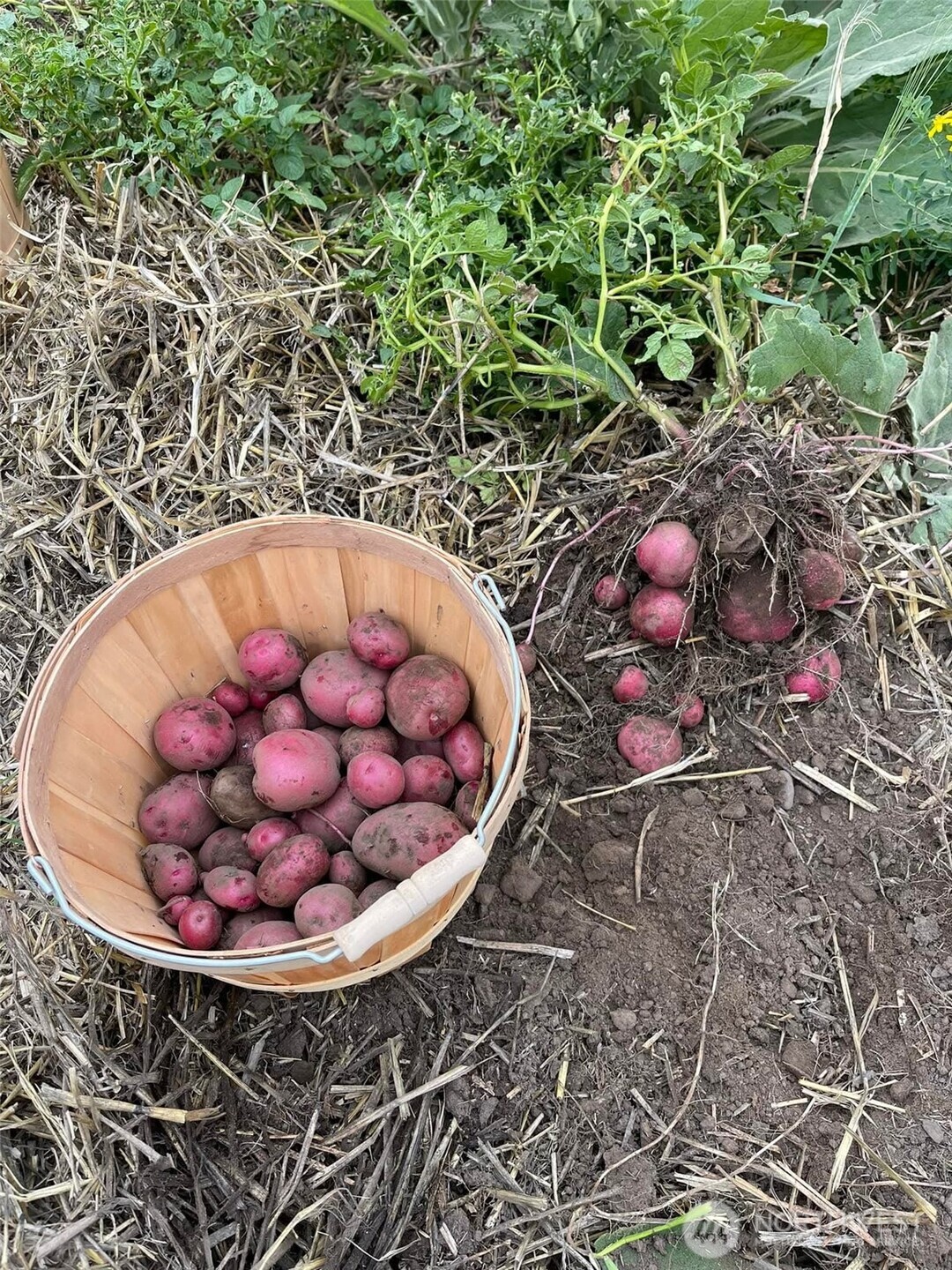 54 Hardrock Road Republic, WA 99166 - Photo 18 of 40