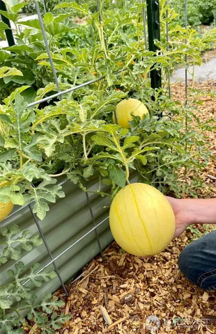 $3,335,000 | 54 Hardrock Road, Republic, WA 99166