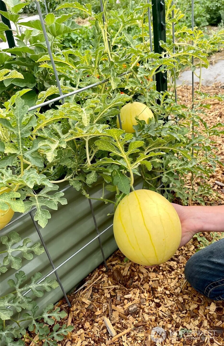 54 Hardrock Road Republic, WA 99166 - Photo 19 of 40