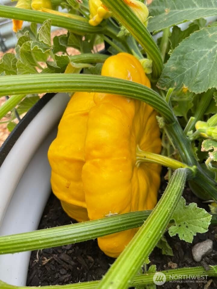 54 Hardrock Road Republic, WA 99166 - Photo 20 of 40